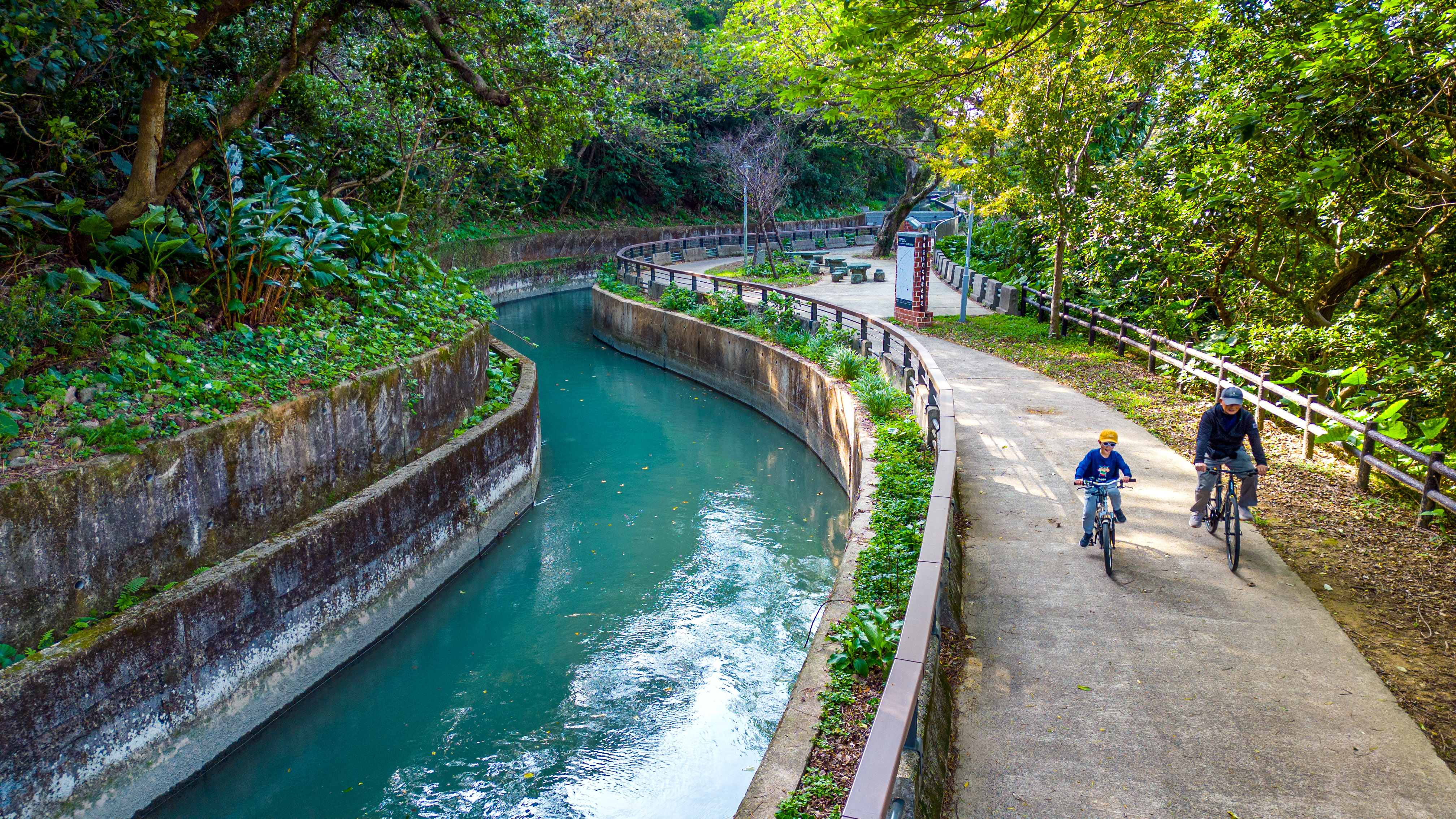 陳立新 - 綠樹成蔭大圳