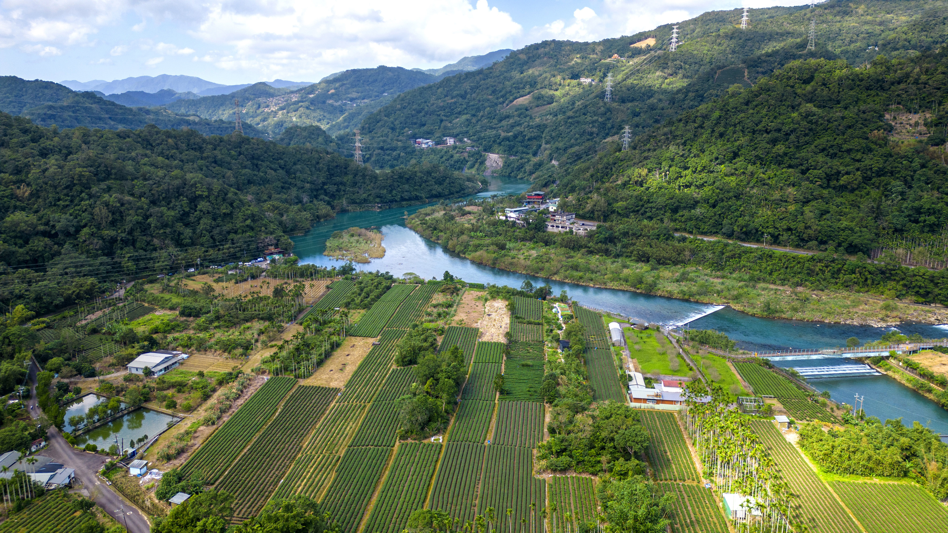 彭淑惠 - 世外桃源