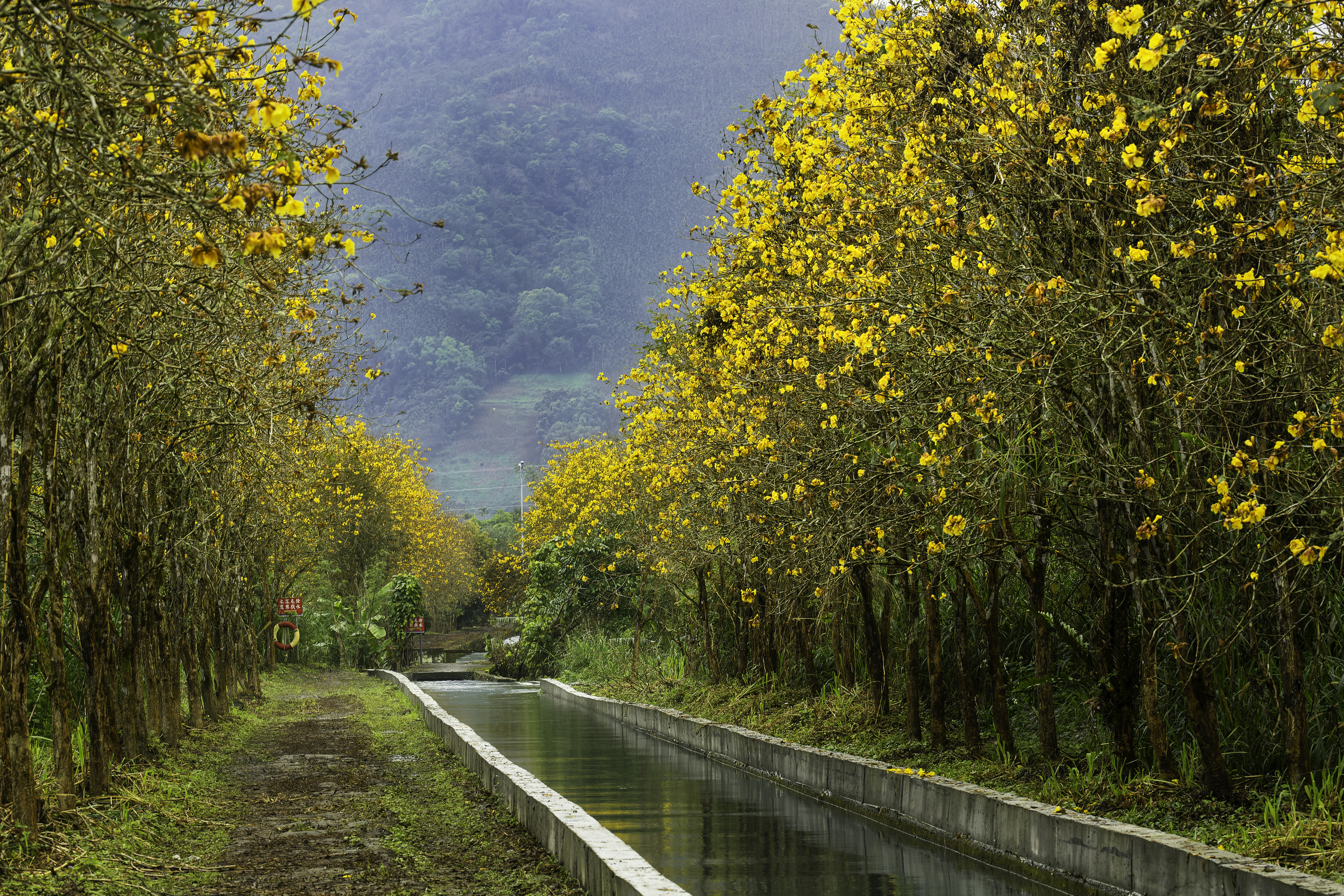 李瑞陞 - 興泉圳