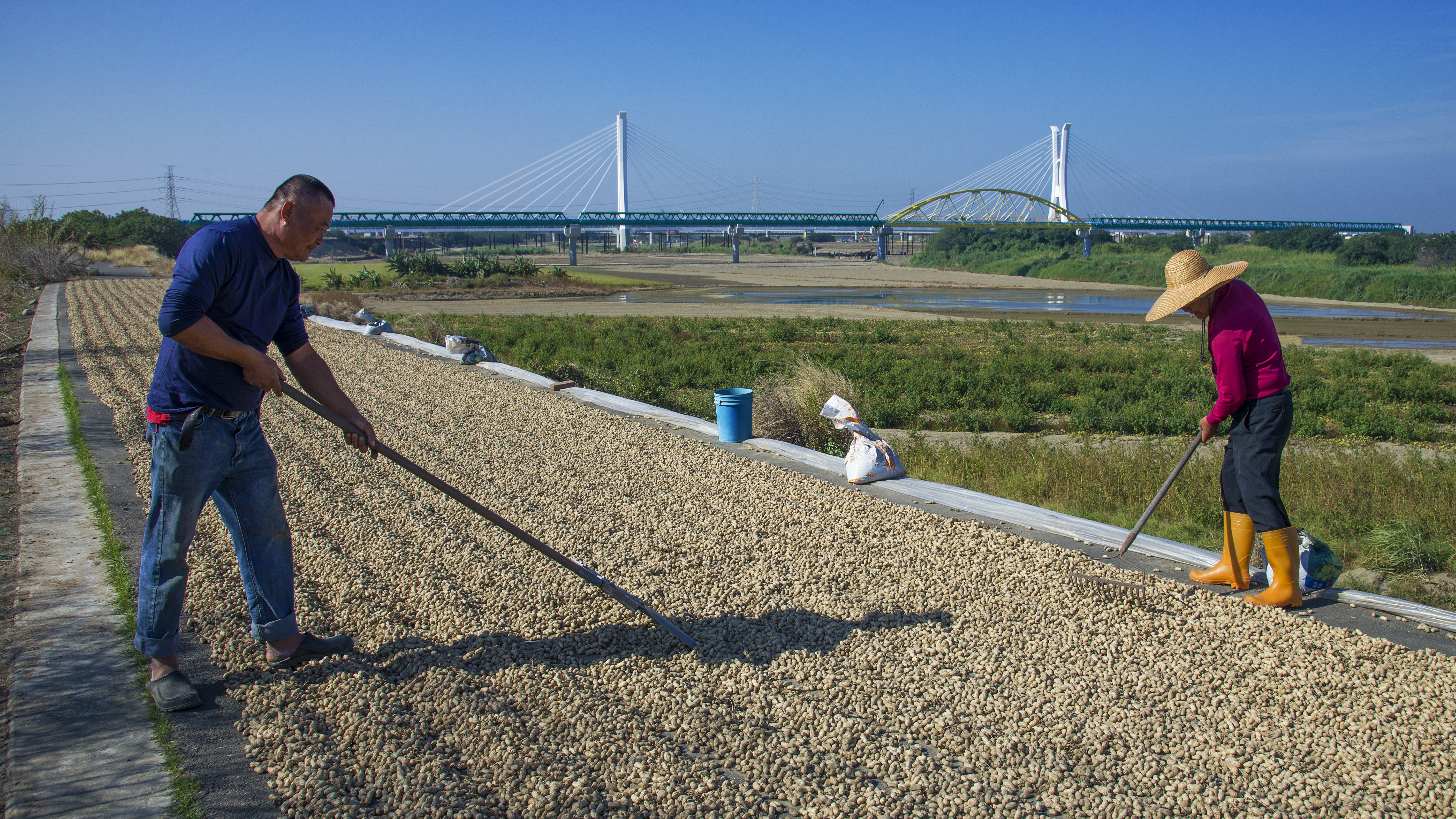 許庭瑋 - 發生˙花生